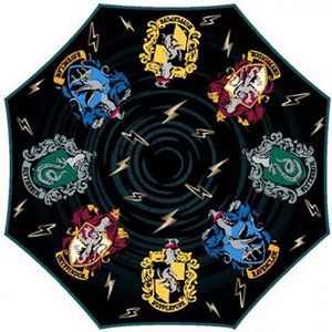 Harry potter umbrella